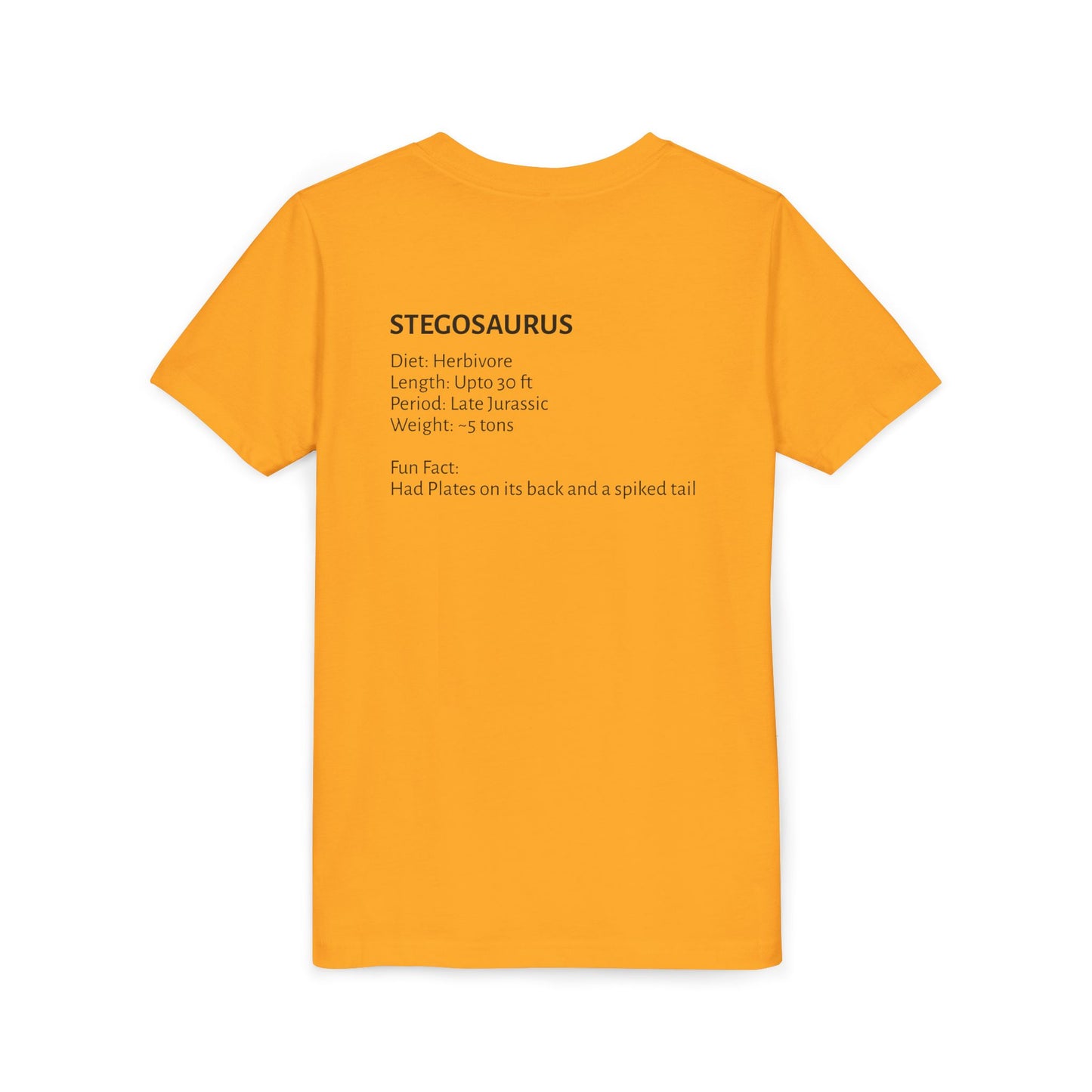 Stegosaurus educational youth t-shirt