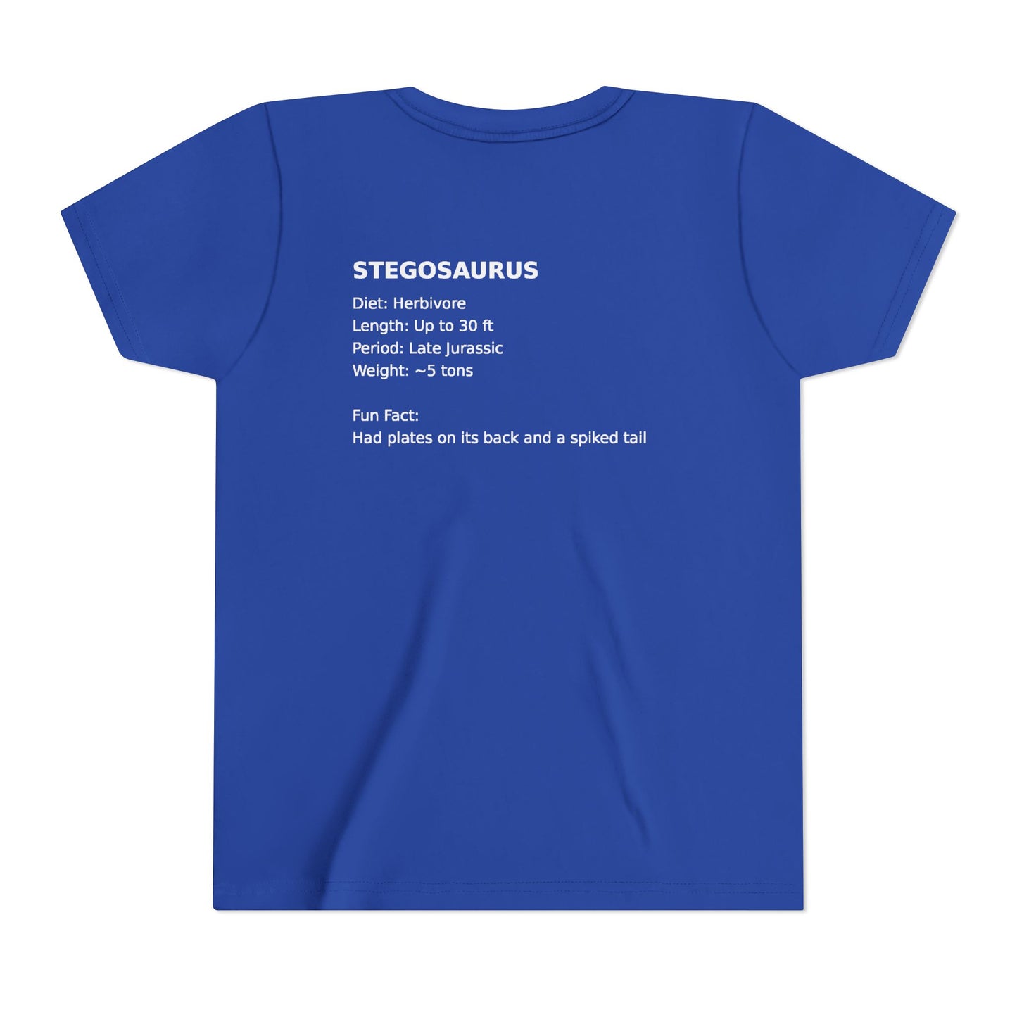 Stegosaurus educational youth t-shirt