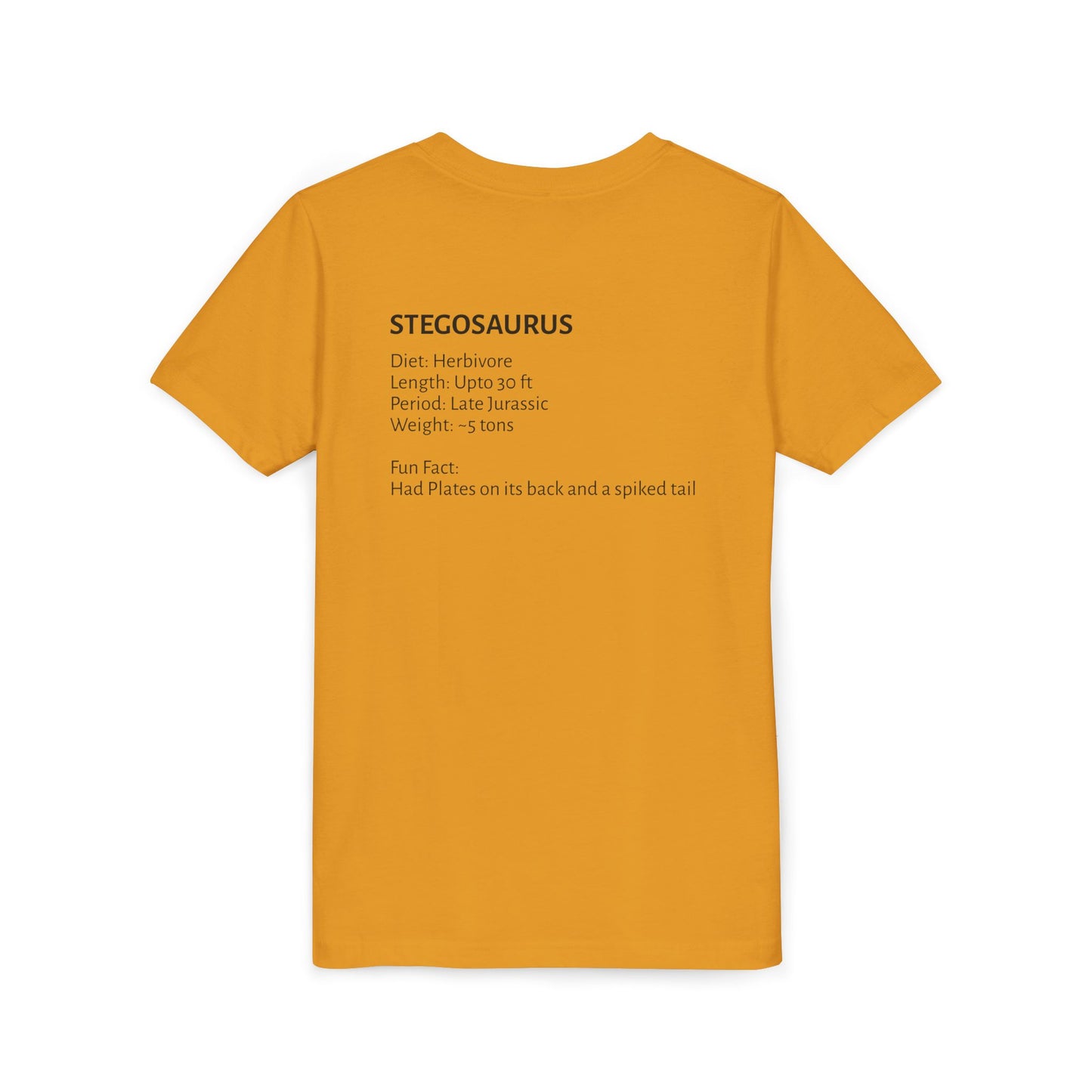 Stegosaurus educational youth t-shirt