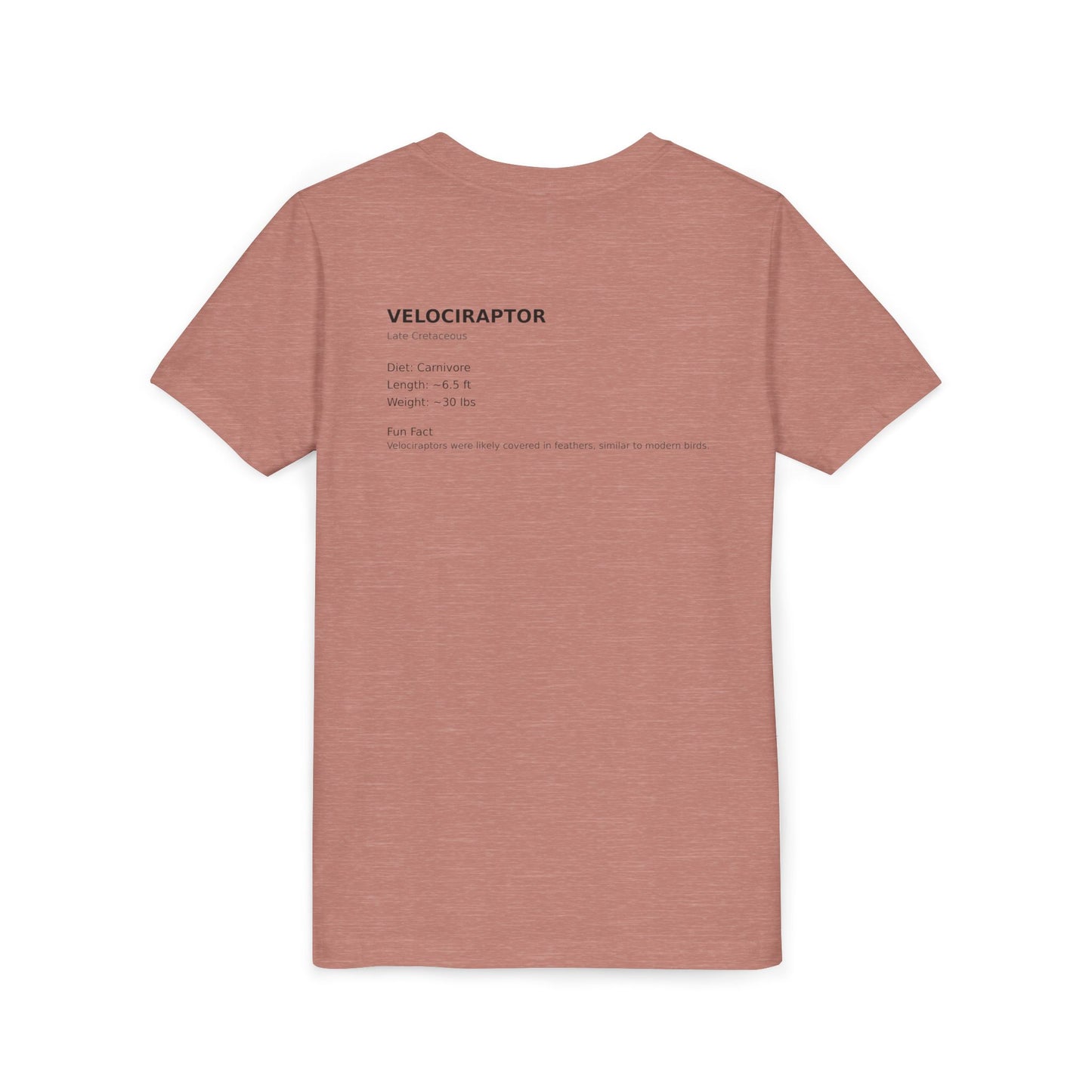 Velociraptor educational youth t-shirt