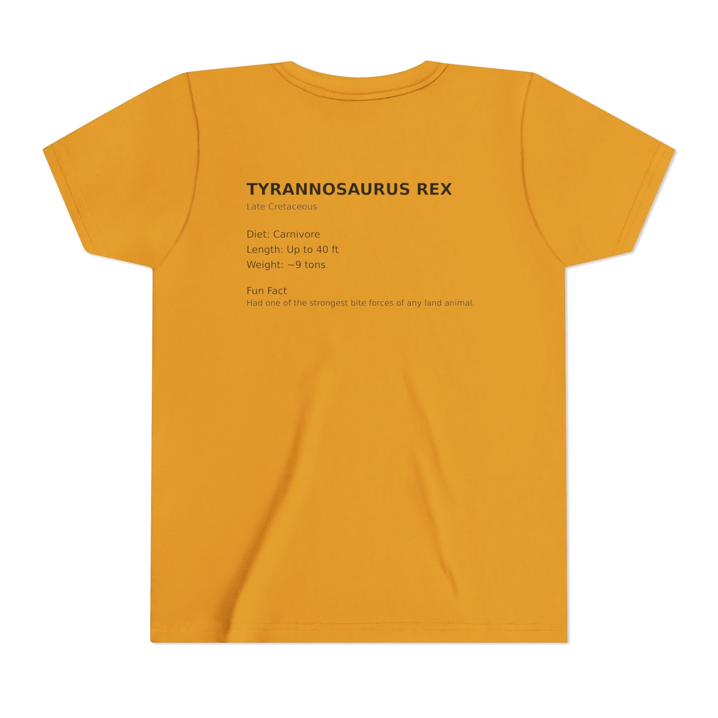 Tyrannosaurus Rex educational t-shirt youth t-shirt