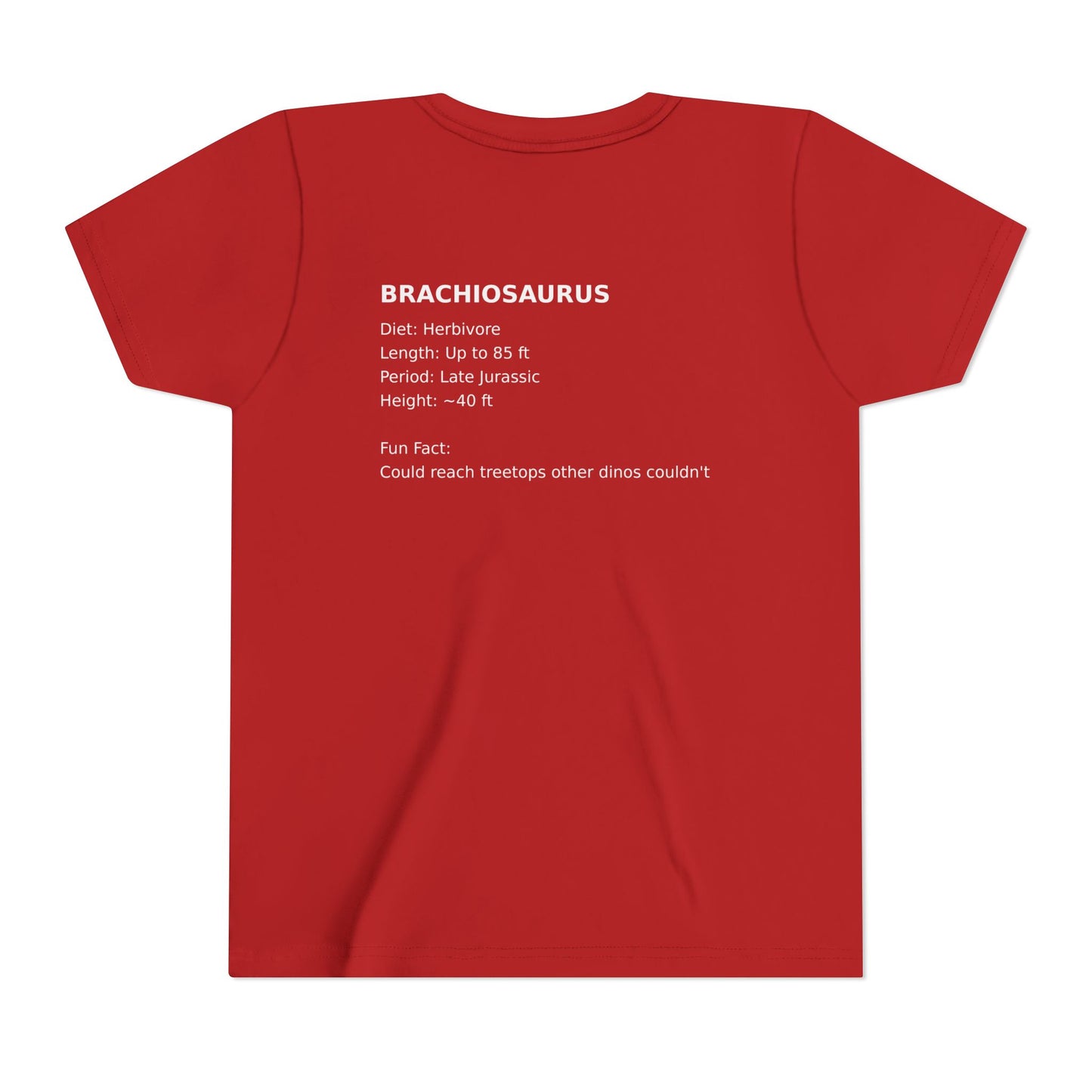 Brachiosaurus educational youth t-shirt
