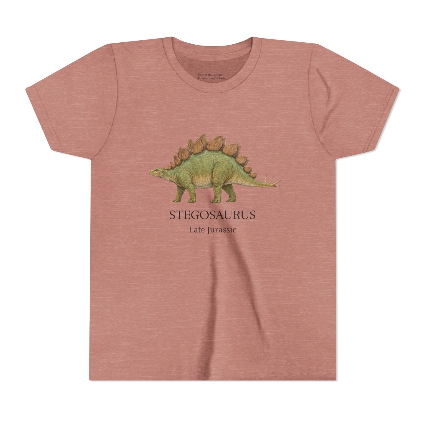 Stegosaurus educational youth t-shirt