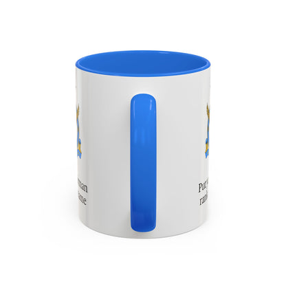 Pakistani Airforce Mug