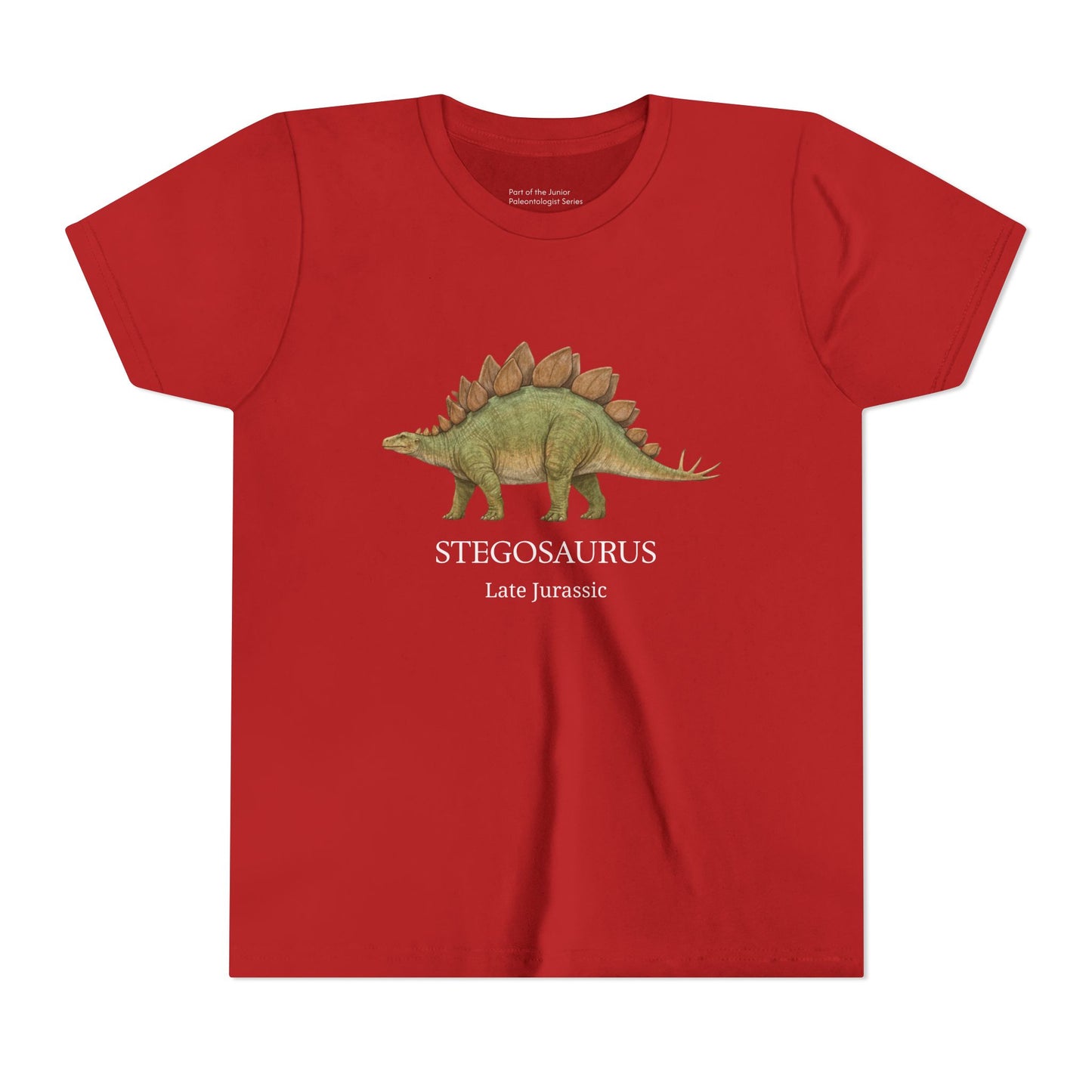 Stegosaurus educational youth t-shirt