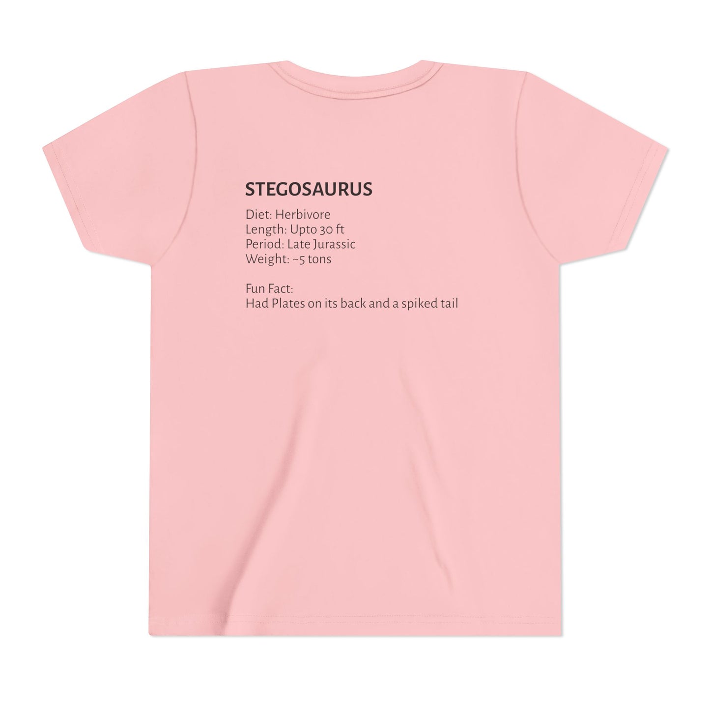 Stegosaurus educational youth t-shirt