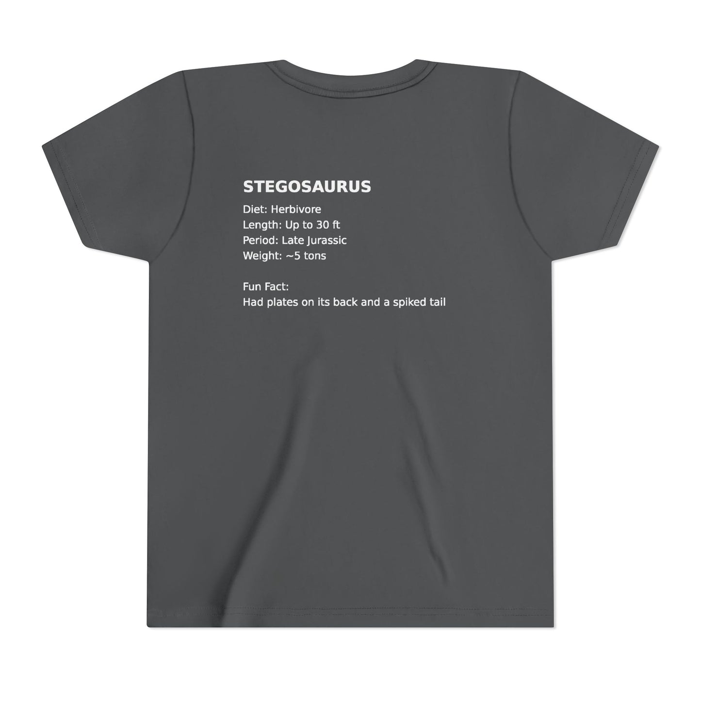 Stegosaurus educational youth t-shirt
