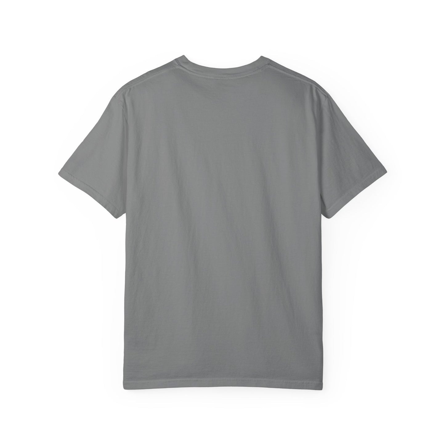 Texas Alamo Longhorn T-Shirt — State of Texas Graphic Tee