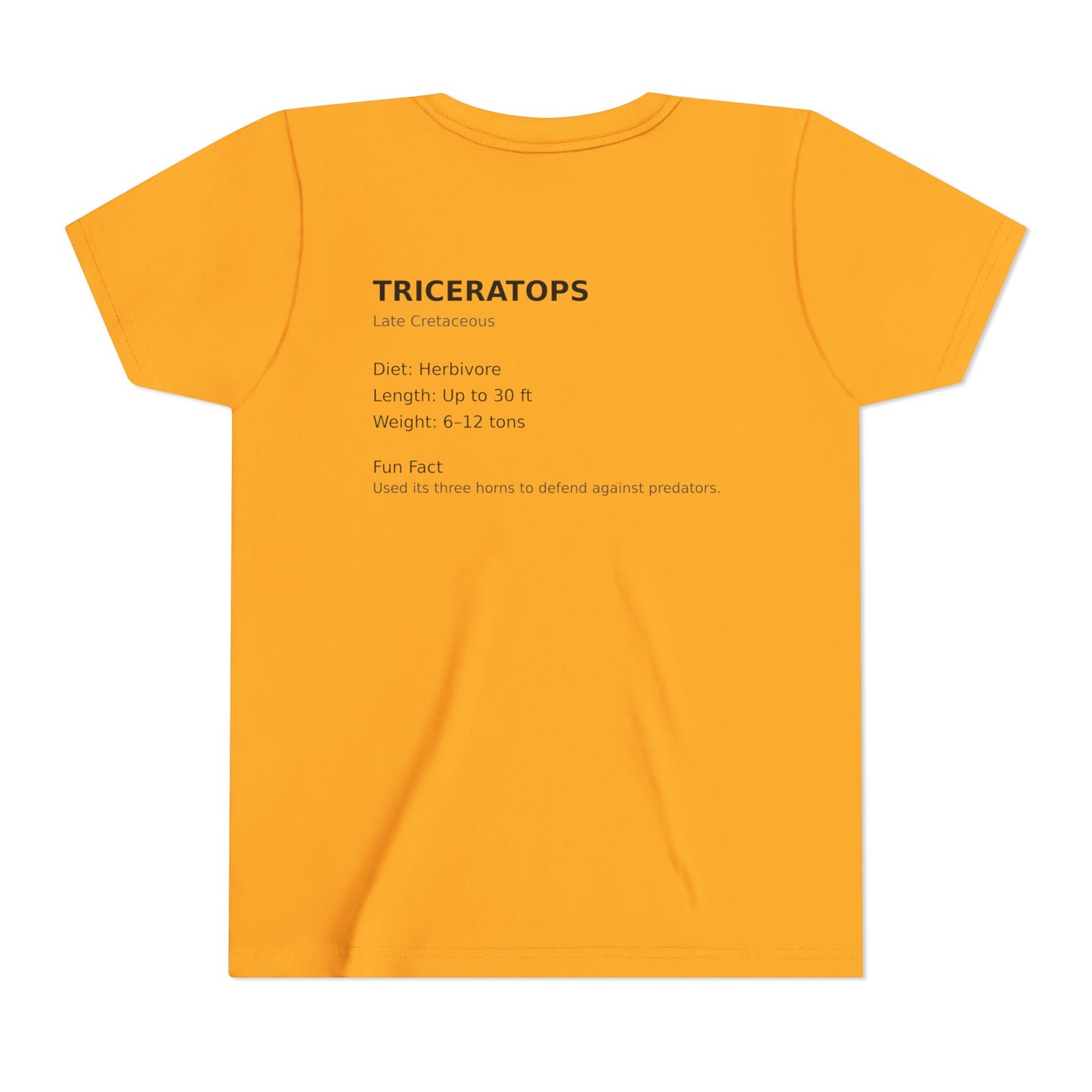 Triceratops educational youth t-shirt