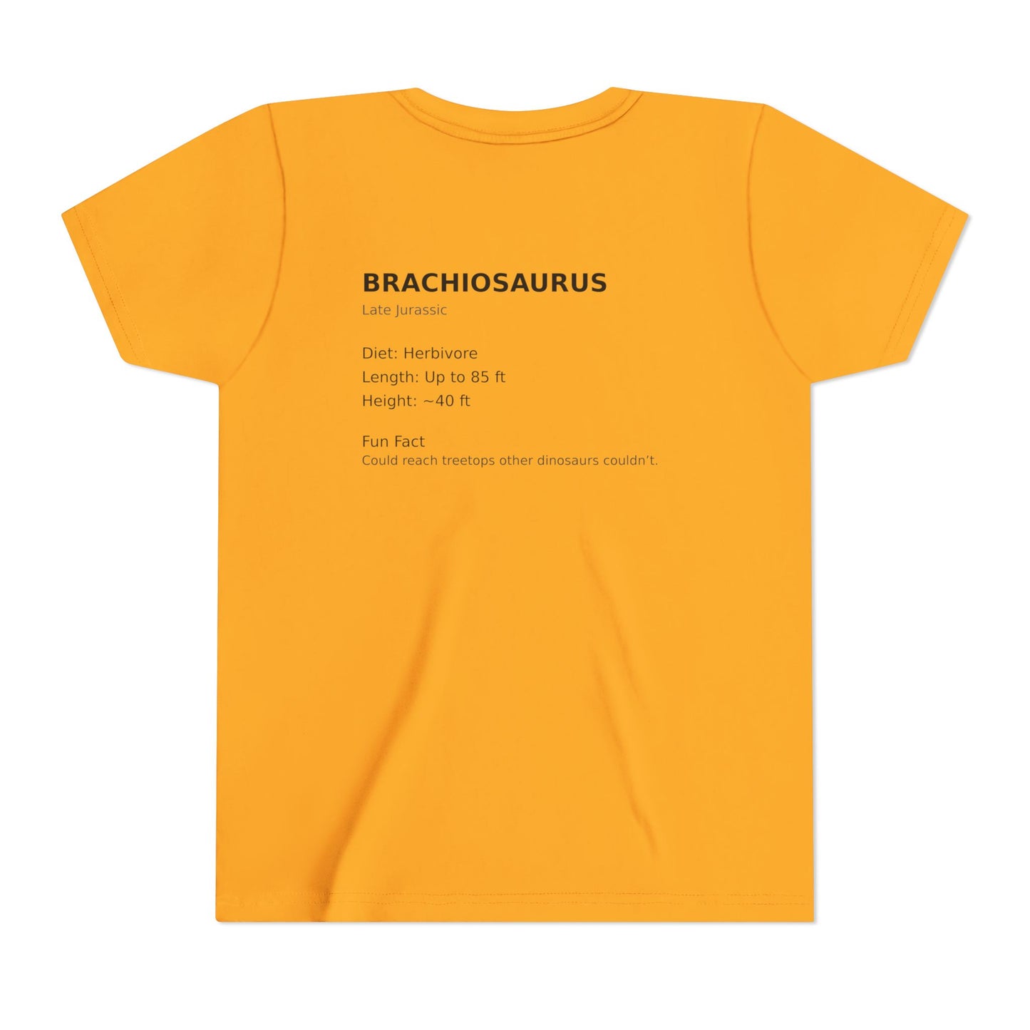 Brachiosaurus educational youth t-shirt