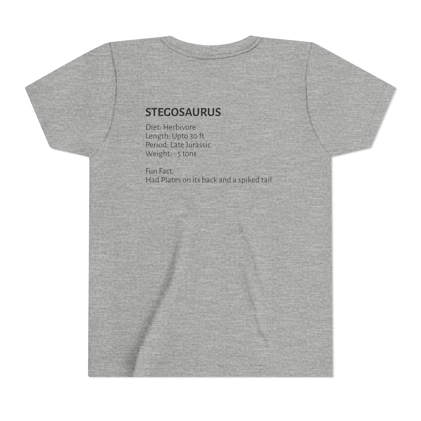 Stegosaurus educational youth t-shirt