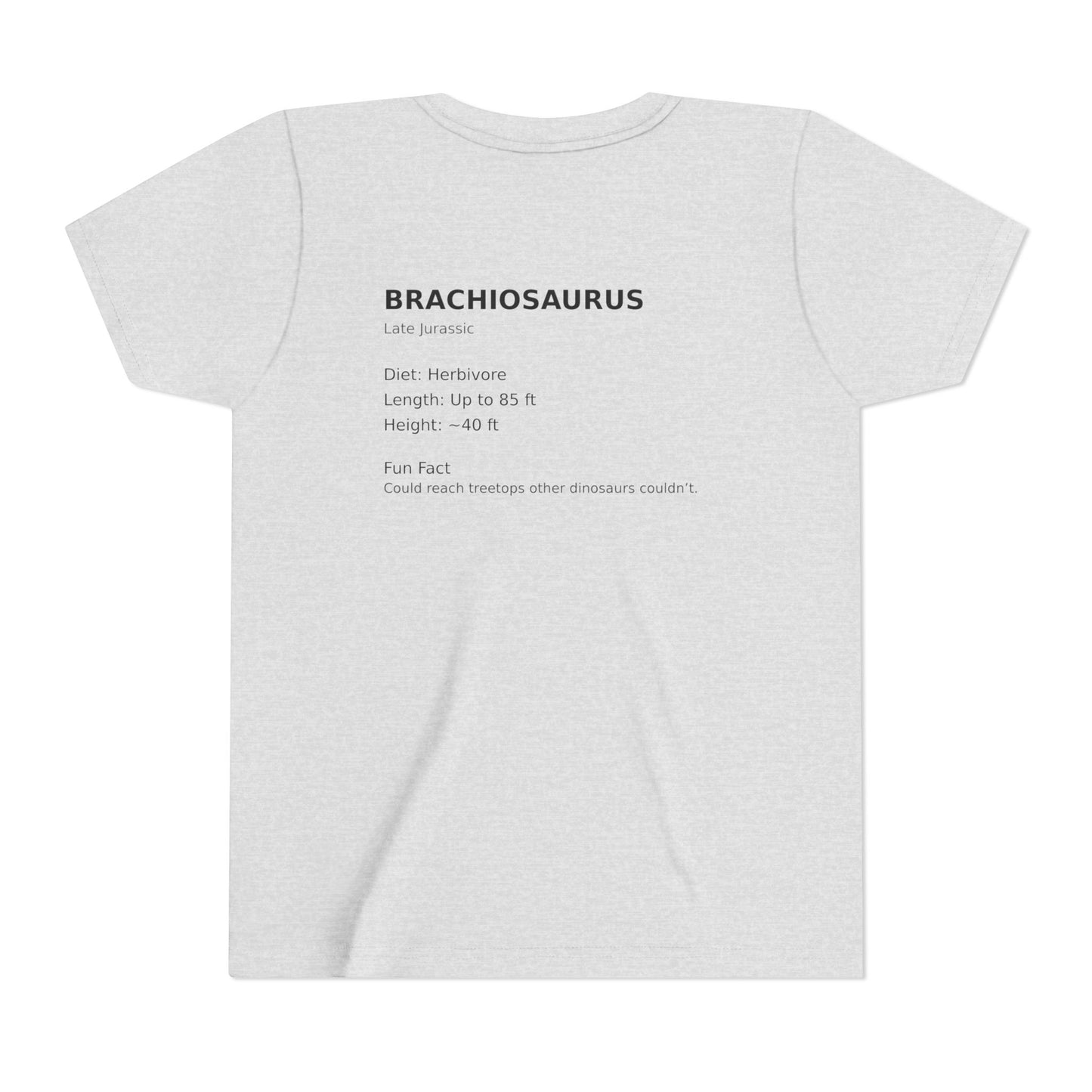 Brachiosaurus educational youth t-shirt