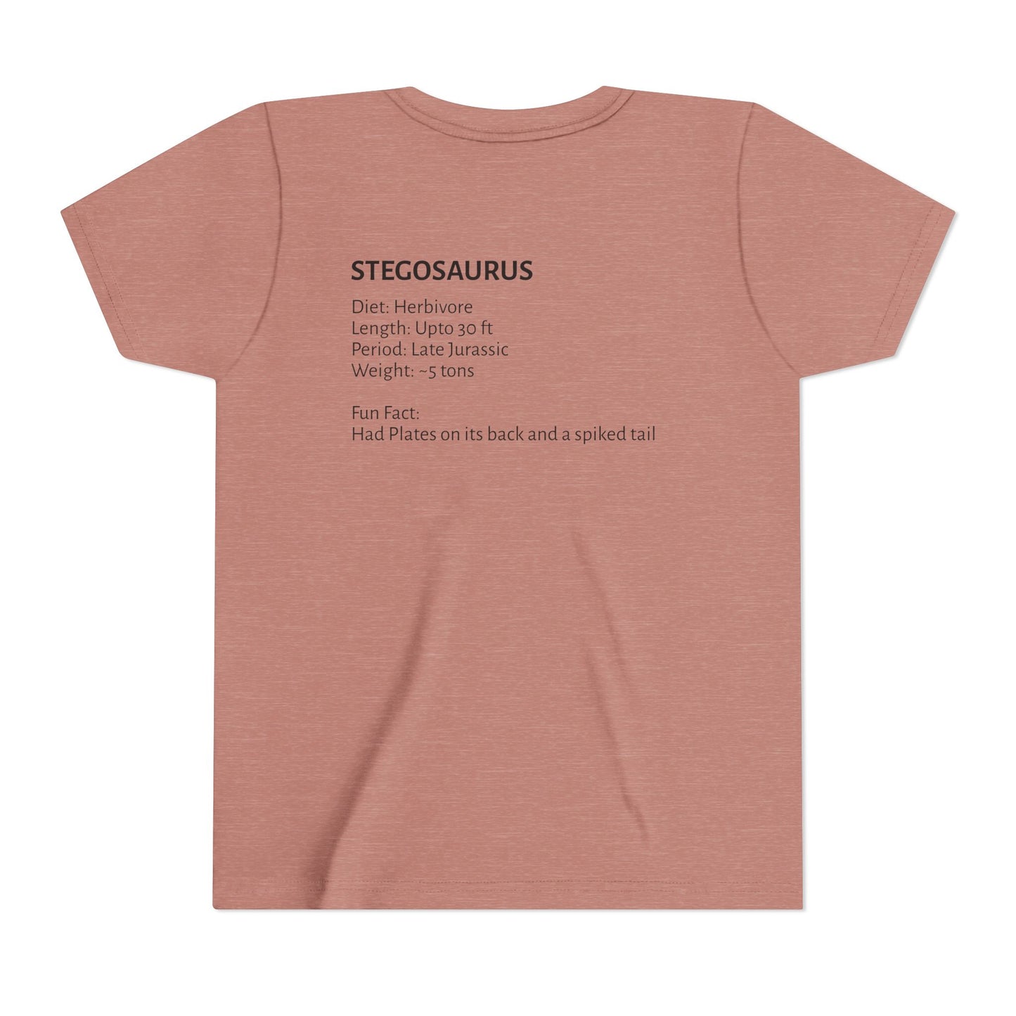 Stegosaurus educational youth t-shirt